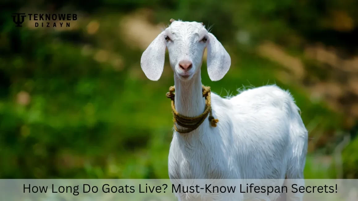 Close-up of a white goat standing outdoors with a green blurred background, accompanied by the text 'How Long Do Goats Live? Must-Know Lifespan Secrets!' addressing the question of goat lifespan and care.