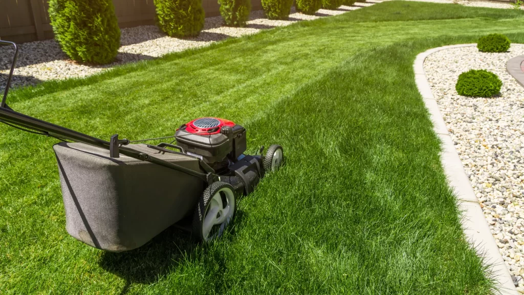 A lawnmower cutting freshly grown grass in a well-groomed yard, with trimmed edges and clean lines.